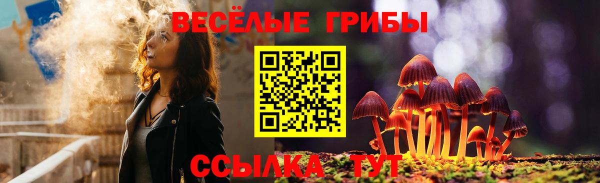 Тобольск  Галлюциногенные грибы MAGIC MUSHROOMS  Вход с VPN 